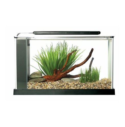 Nanoakvarium Spec V 19liter med LED