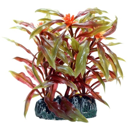 Nesaea Plastvxt 7cm, Hobby