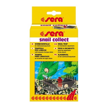 Snigelflla snail collector, Sera