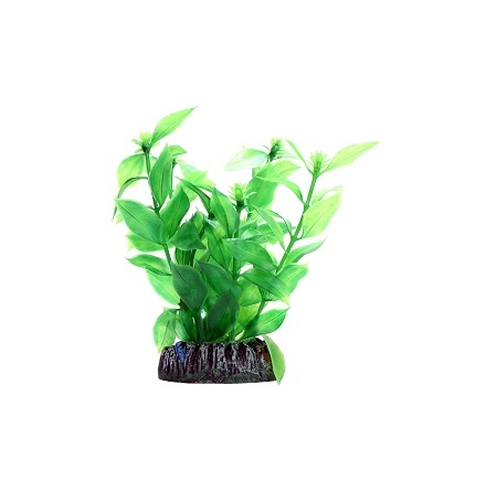 Hygrophila Plastvxt 13cm, Hobby