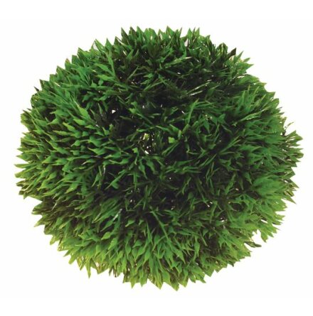 Plant Ball 9cm, Hobby