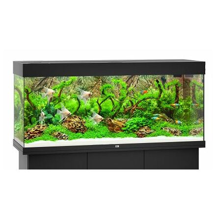 Akvarium Svart Rio 240