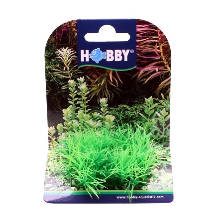 Plant pad  2 7x4,5x5,5cm, Hobby