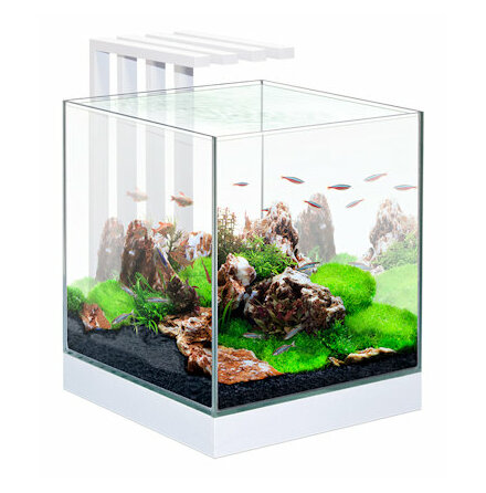 Nanoakvarium Nexus Pure 25, Ciano