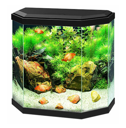 Nanoakvarium Aqua 30 svart eller vitt