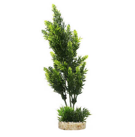 Natural Colour Bush 30cm Sydeco