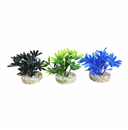 Mini Dark plant 14cm, Sydeco