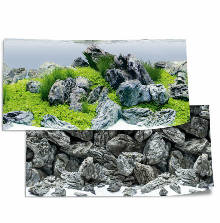 Bakgrund Poster 4 L 100x50 Aquascape/sten