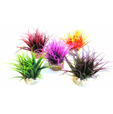 Nano mossa mix frger 8cm, Sydeco