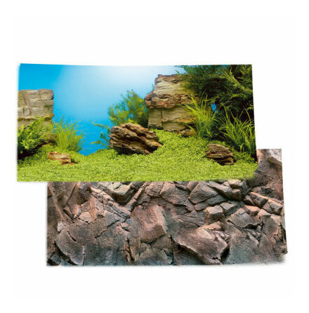 Bakgrund Poster 1 S Plant/reef  60x30 dubbelsidig