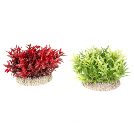 Miracle moss 8 cm bred 7,5 cm hg mix frger, Aqua Della