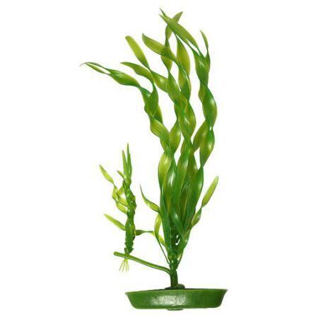 Skruv vallisneria 13cm, Marina