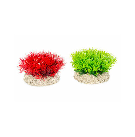 Crystalwort moss S 5,5 cm bred 4,5 hög mix färger