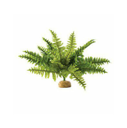 Ormbunke stor terrariumvxt 36x36x26, Exoterra