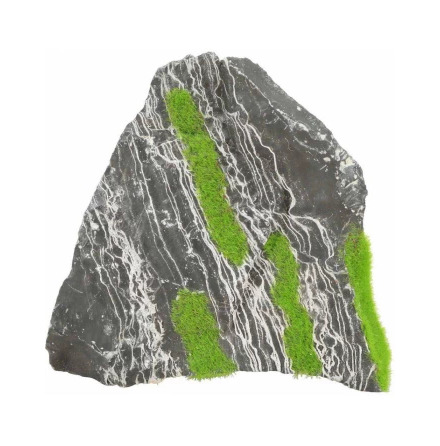 Sten tvfrgad med vxtfrer medium 10.8x16.4x7.2 cm