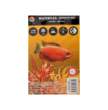 Waterflea, Dapnier fryst 100g blisterfrp, Stoffels 26/04 Endast avhmtning!