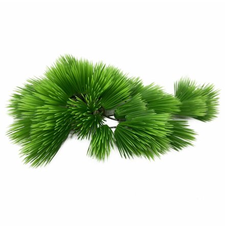 Plastv�xt Eleocharis 22cm, Aqua Della