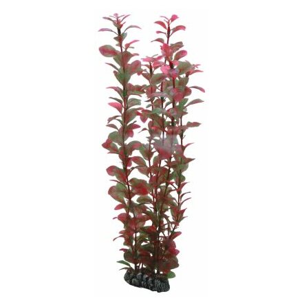 Ludwigia Plastvxt 34cm, Hobby