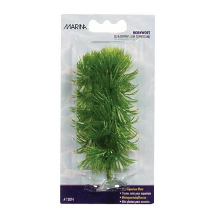 Hornwort 10cm med sugkopp, Marina