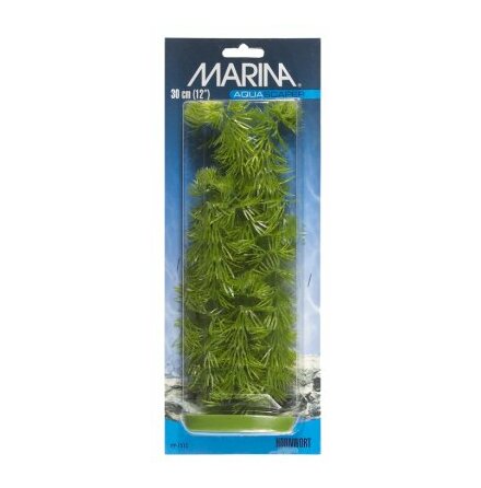 Hornwort 30cm, Marina