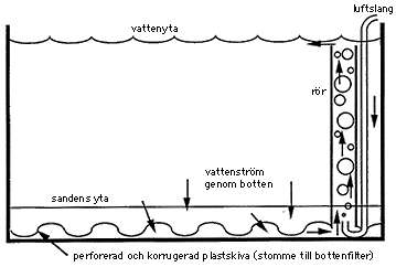 Principskiss på bottenfilter